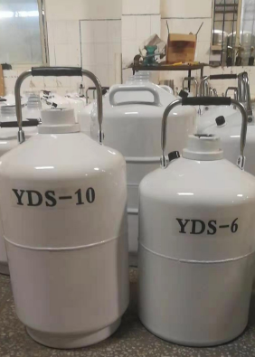 10l液氮罐 10l液氮罐