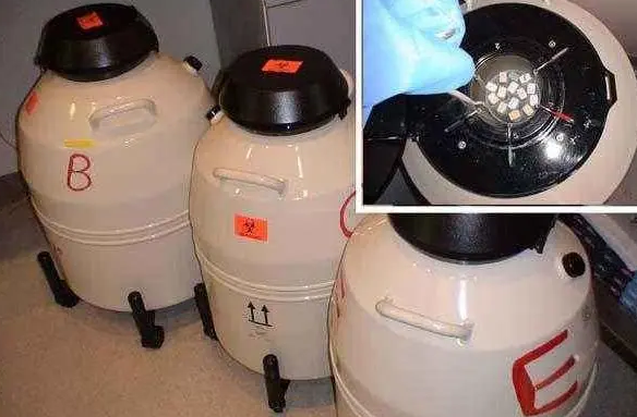 mve液氮罐 mve液氮罐